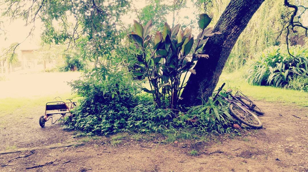 Foto 10